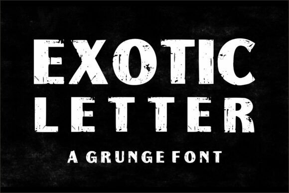 Exotic Letter: A Bold Display Font for Digital Brand Moments